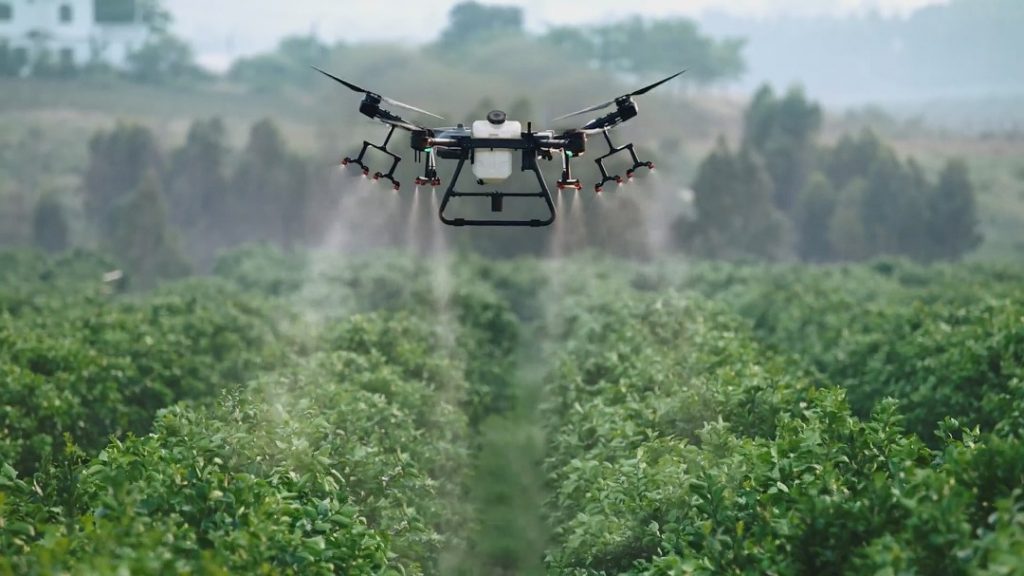 Drony w Rolnictwie - Wdrożenia dronów i usługi dla rolnictwa Drony w  Rolnictwie