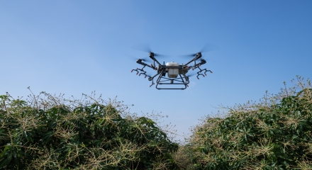Szacowanie rozwoju roślin z drona